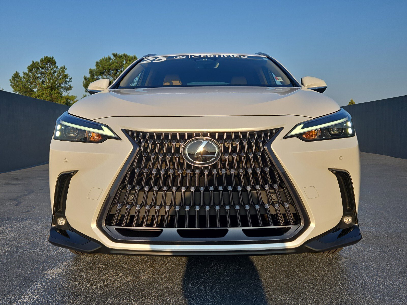 2025 Lexus NX 250 photo 2