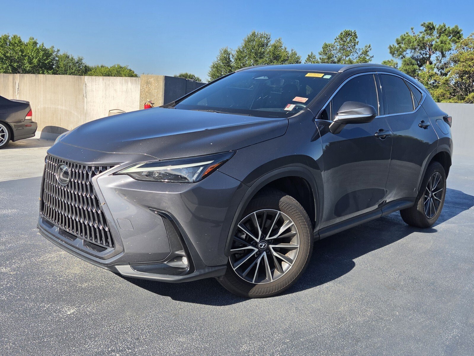 2024 Lexus NX