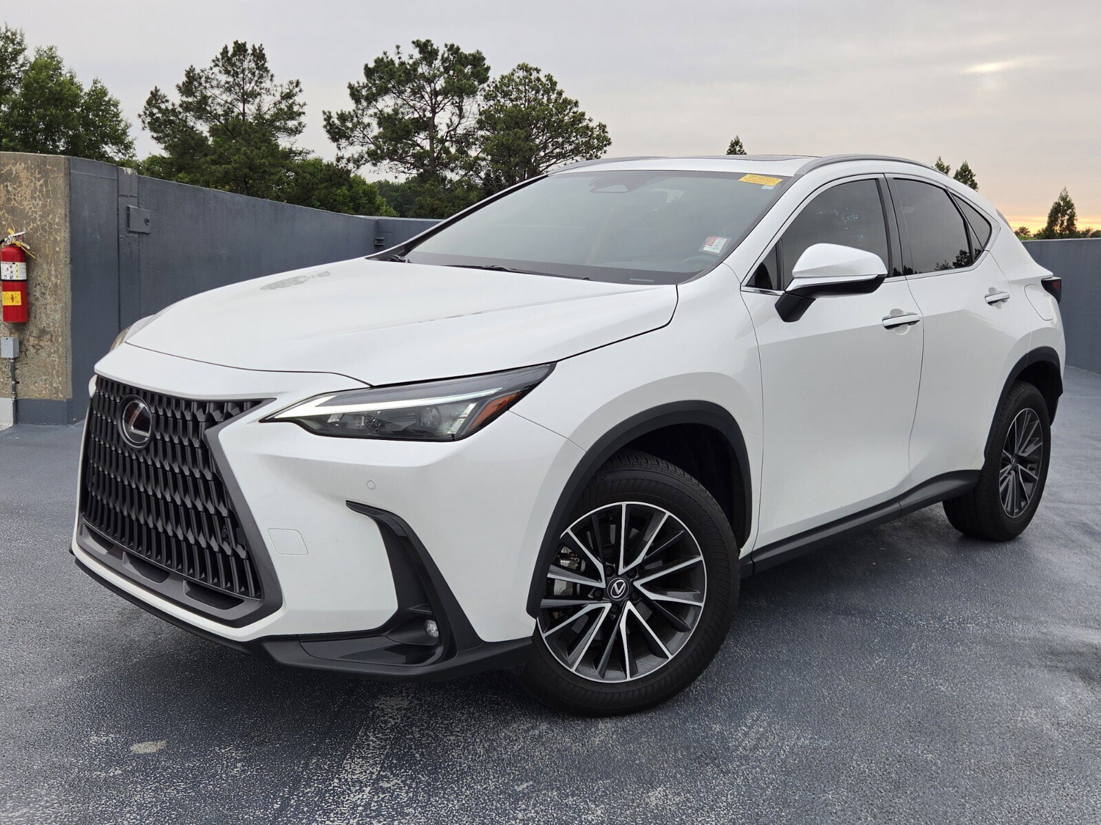 2024 Lexus NX 350 350 Premium AWD's photo