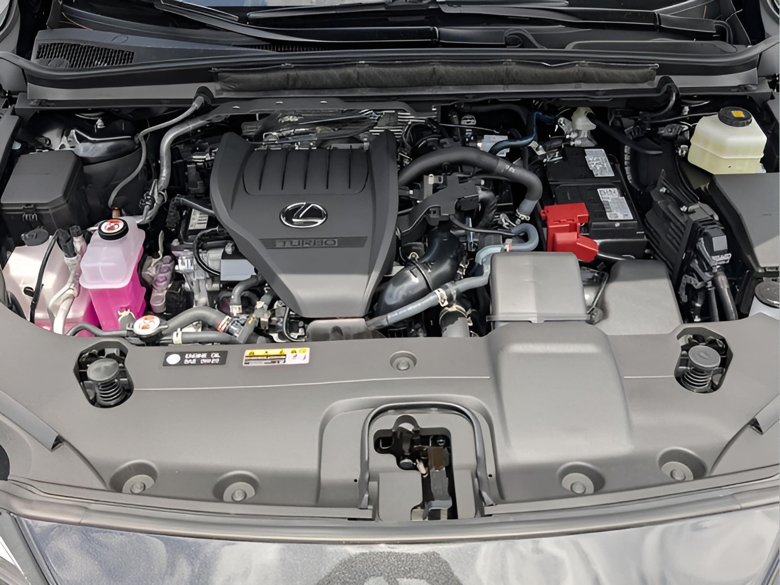 2026 Lexus RX 350 F-Sport - Photo 10