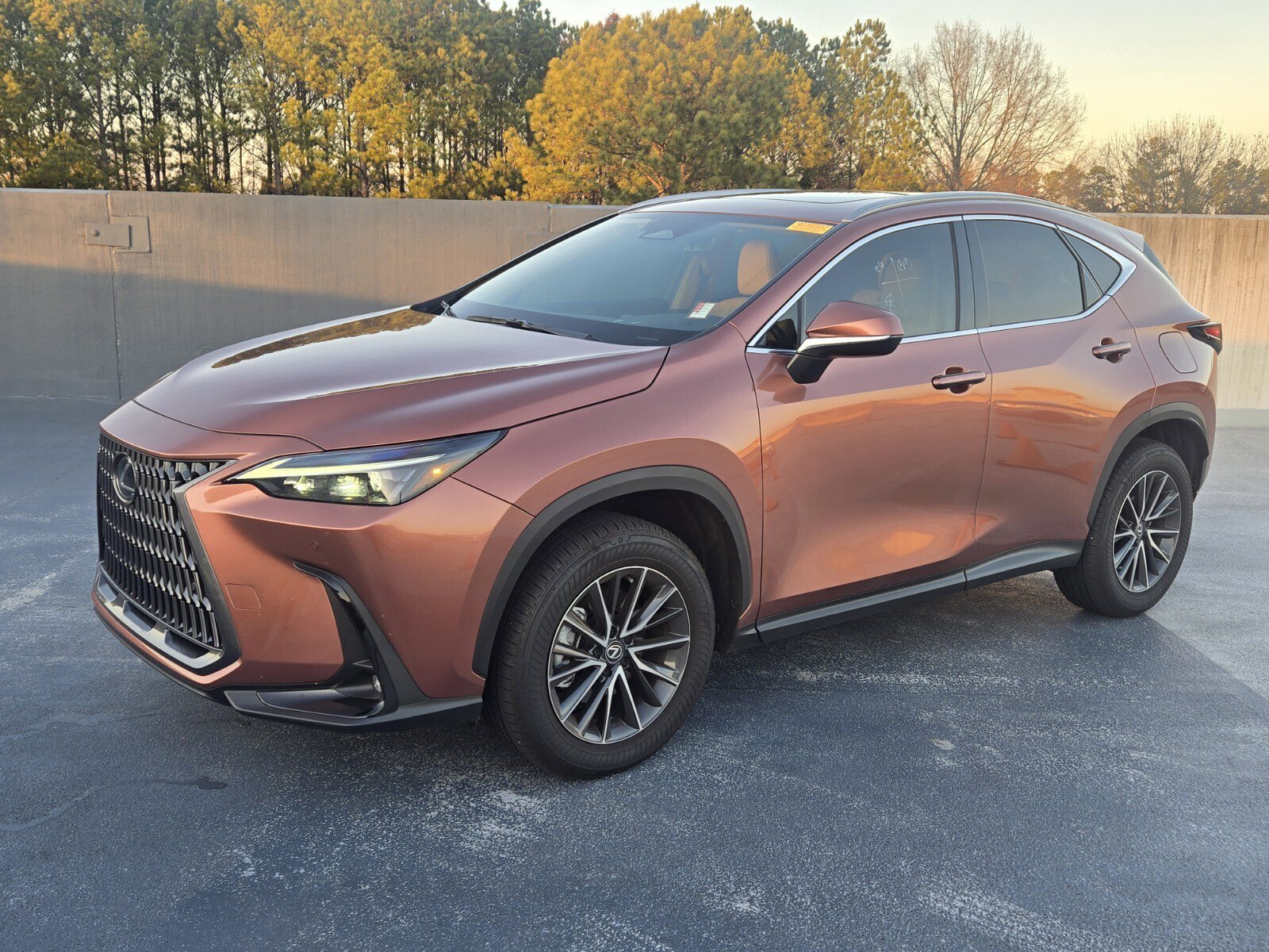 2025 Lexus NX 250's photo
