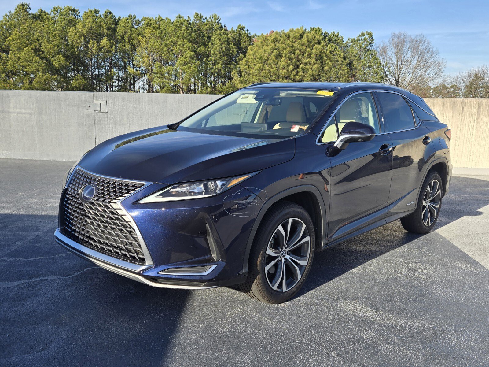 2021 Lexus RX Hybrid 450h's photo