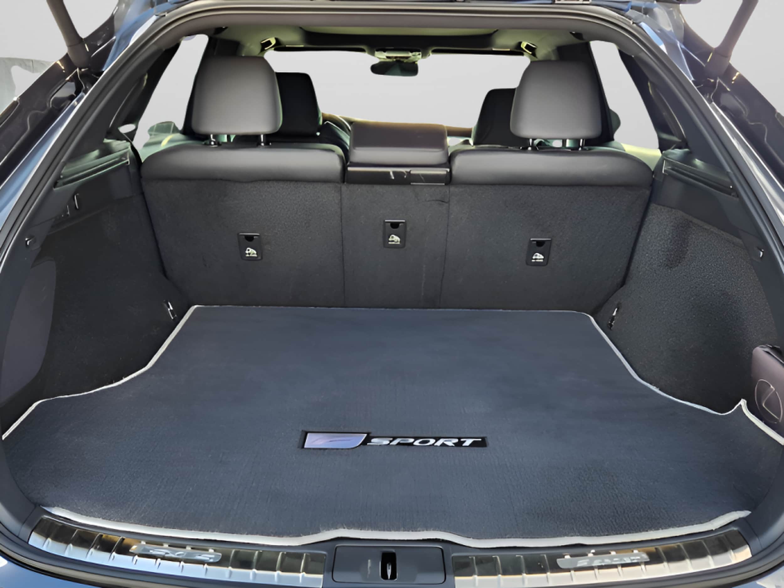 2024 Lexus RX Hybrid 500h - Photo 14