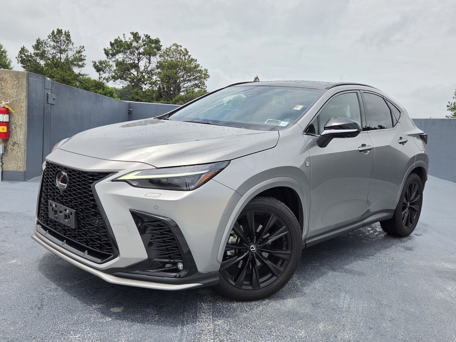2024 Lexus NX 350 350 F-Sport AWD's photo