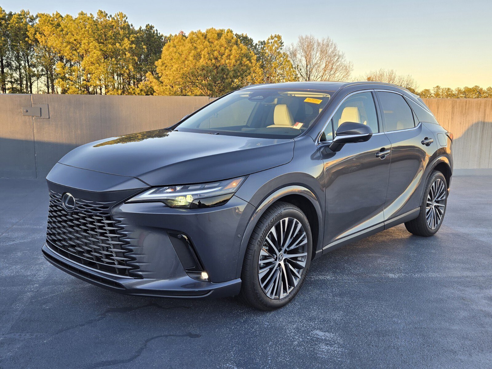 2025 Lexus RX 350's photo
