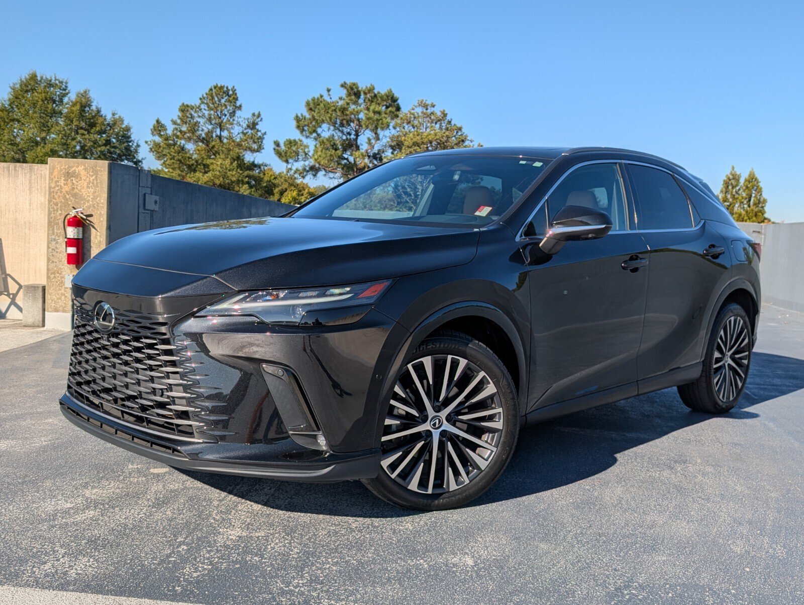2024 Lexus RX
