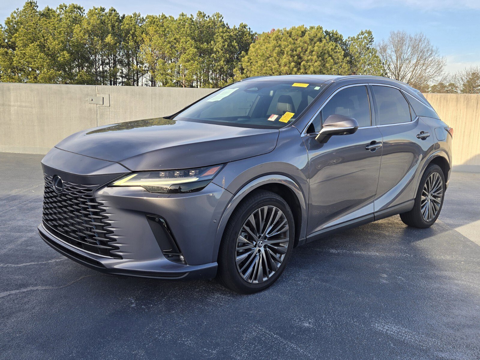 2023 Lexus RX 350's photo
