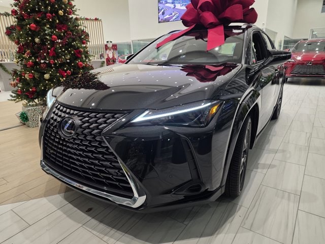 2025 Lexus UX Hybrid 300h Premium's photo