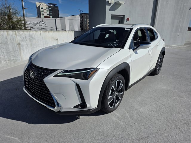 2025 Lexus UX Hybrid 300h's photo