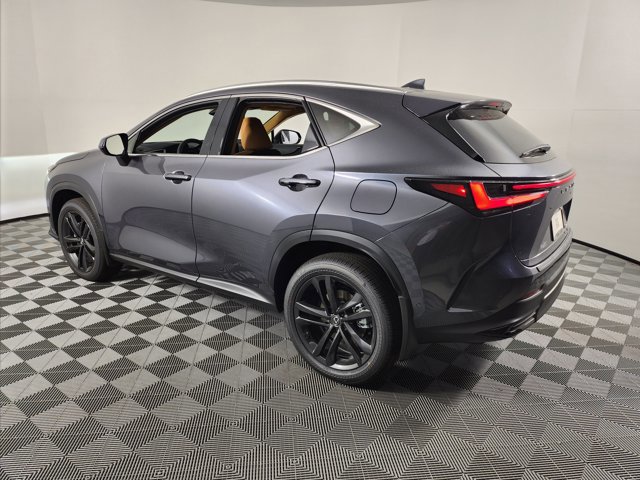 2025 Lexus NX 450h+ Luxury photo 2