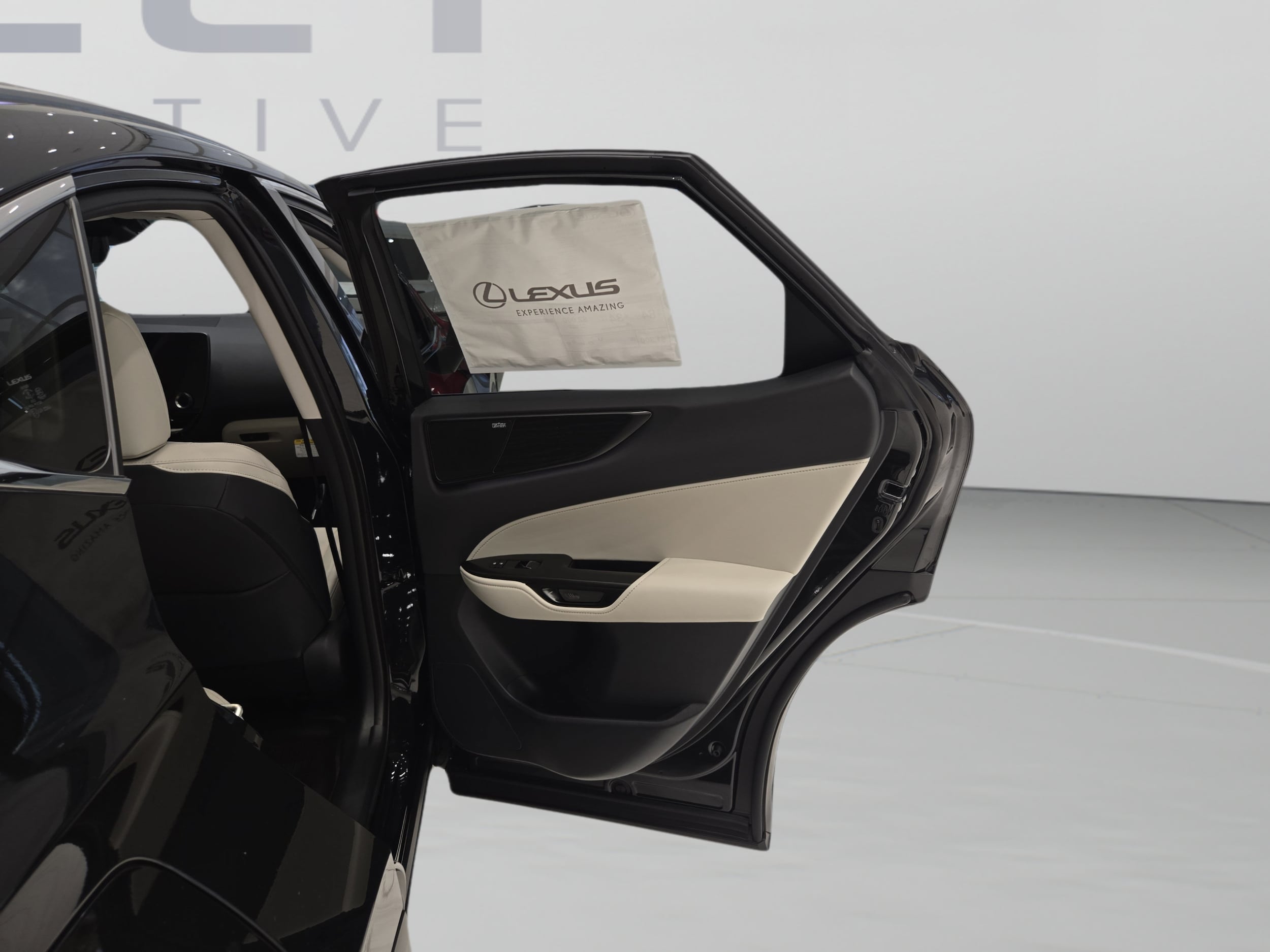 2026 Lexus NX 450h+ Luxury - Photo 20