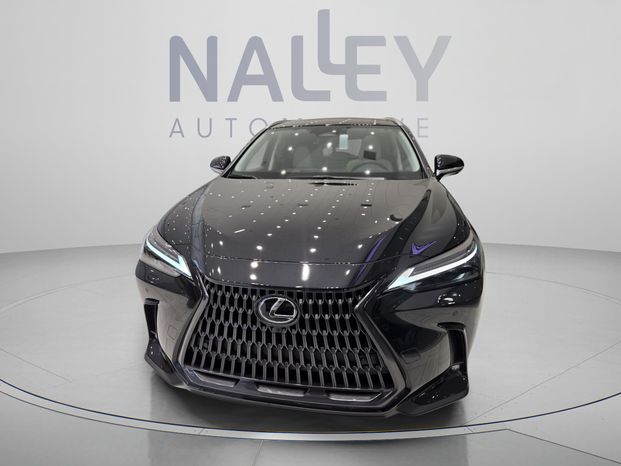 2026 Lexus NX 450h+ Luxury - Photo 8