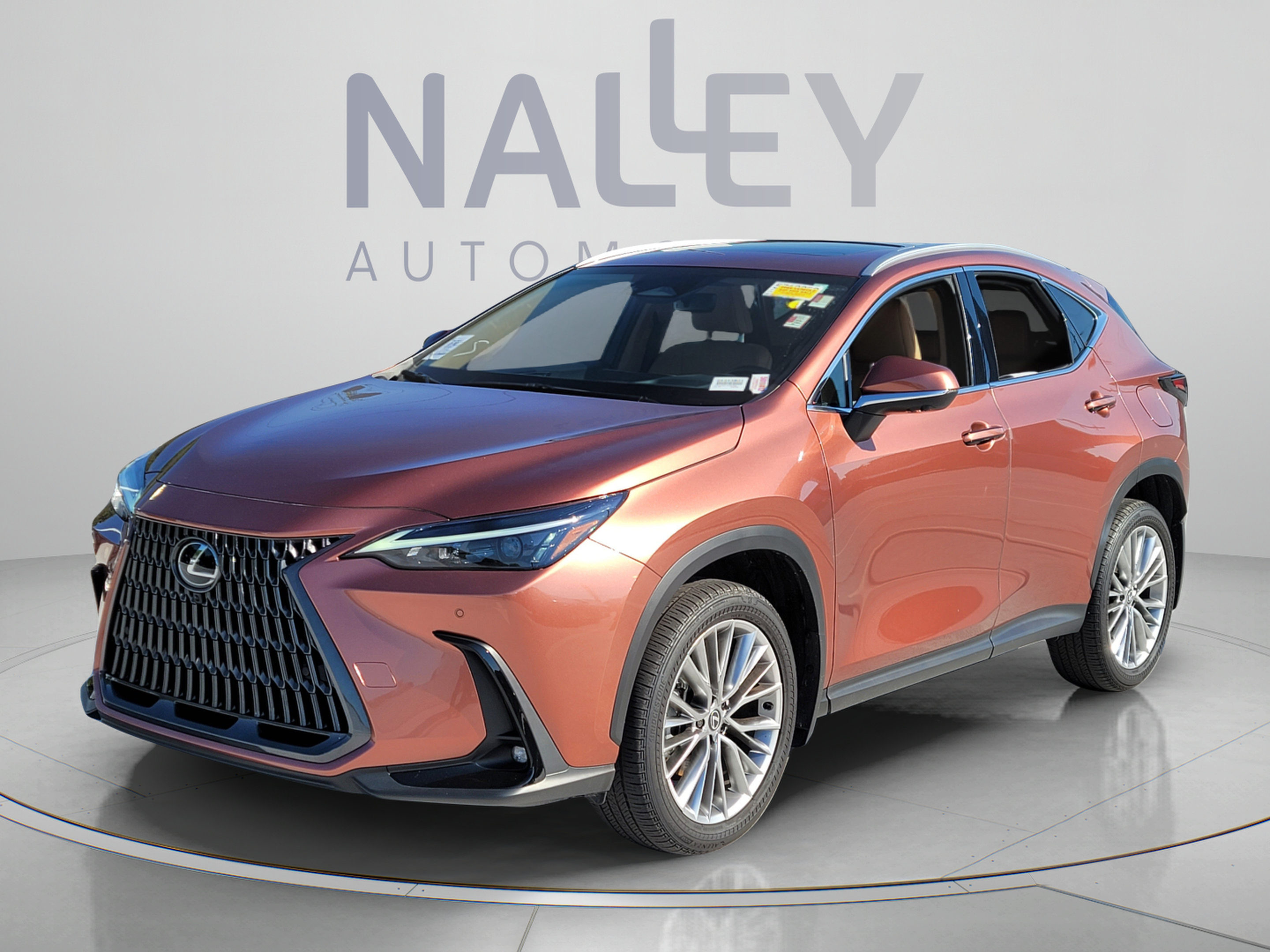 2025 Lexus NX