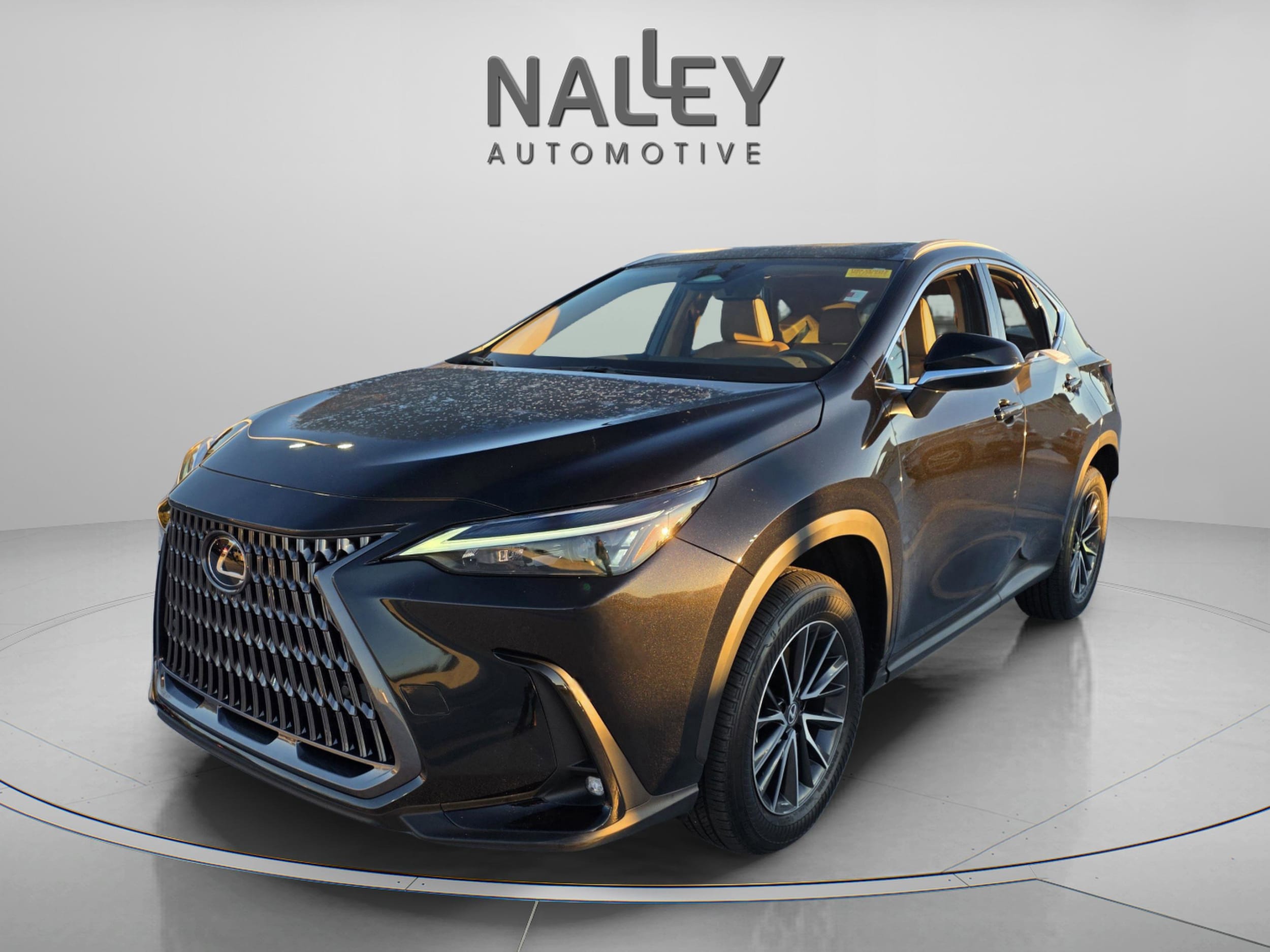2025 Lexus NX Base's photo