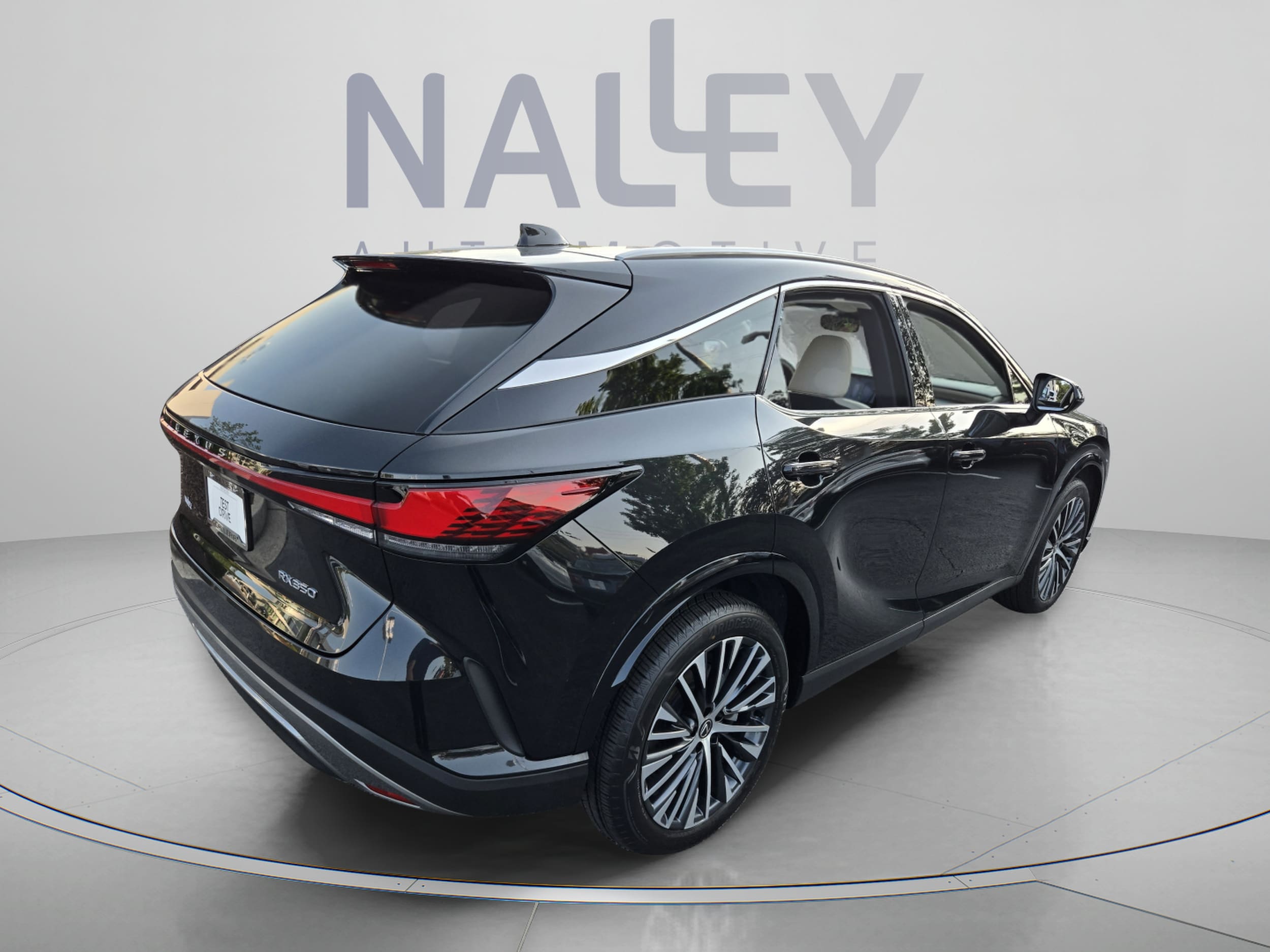 2023 Lexus RX 350 - Photo 6