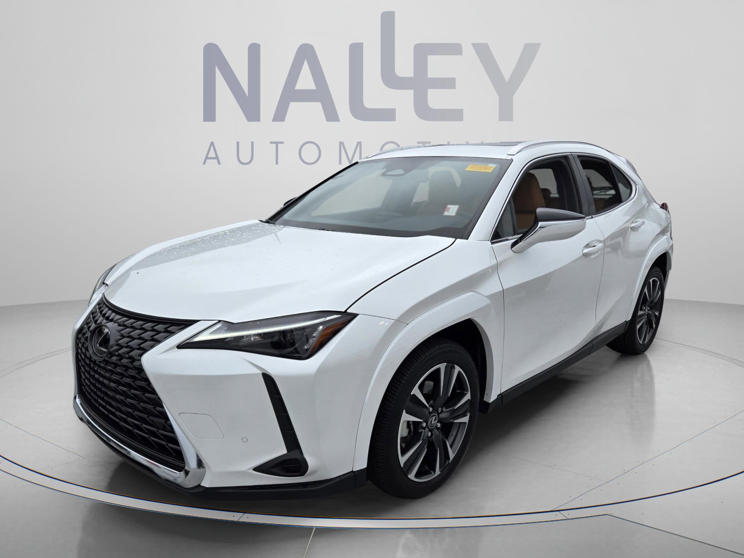 2025 Lexus UX 300h 300h Premium's photo