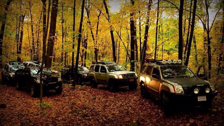 nissan fall.jpg