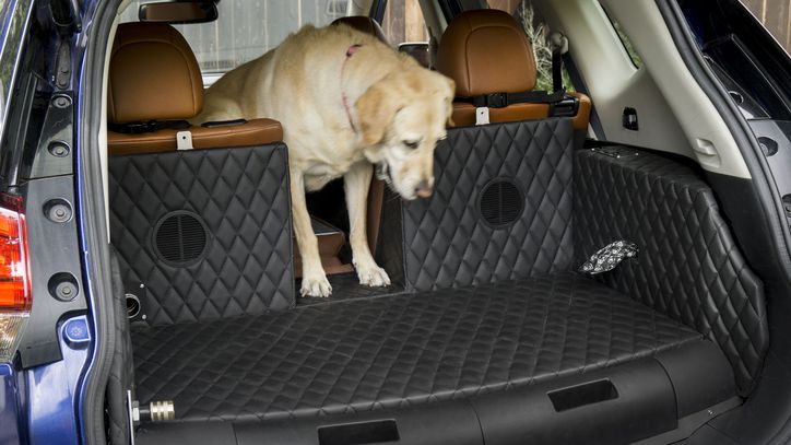 nissan-rogue-dogue-concept-15.jpg