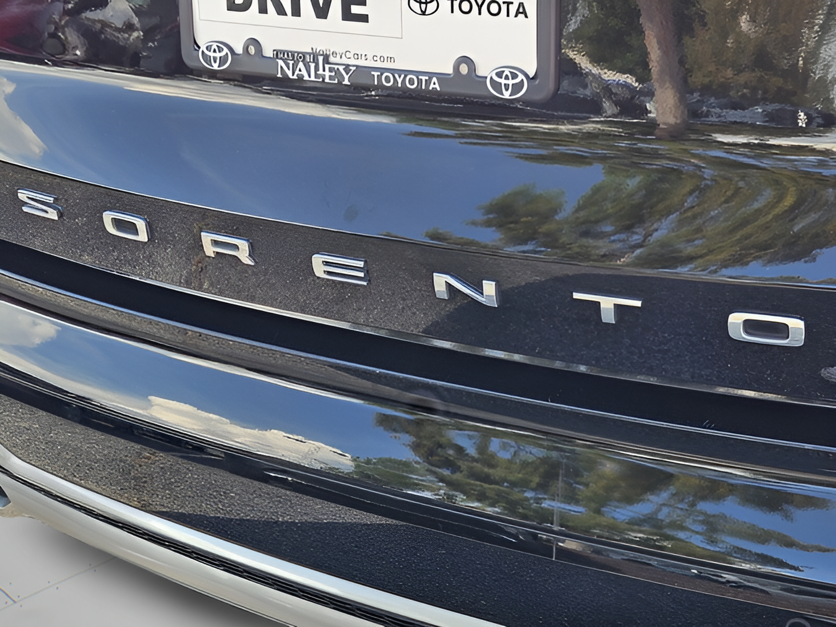 Photo 31