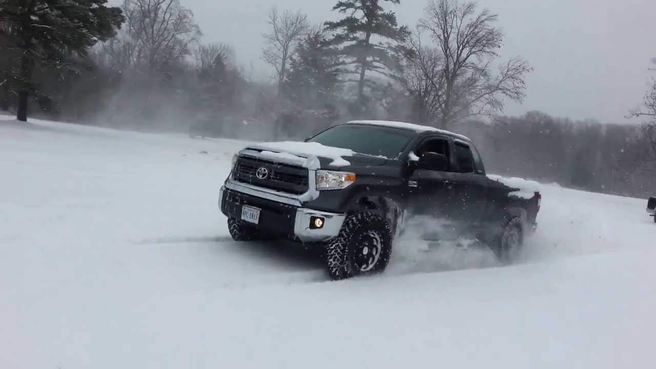 toyota sow.jpg