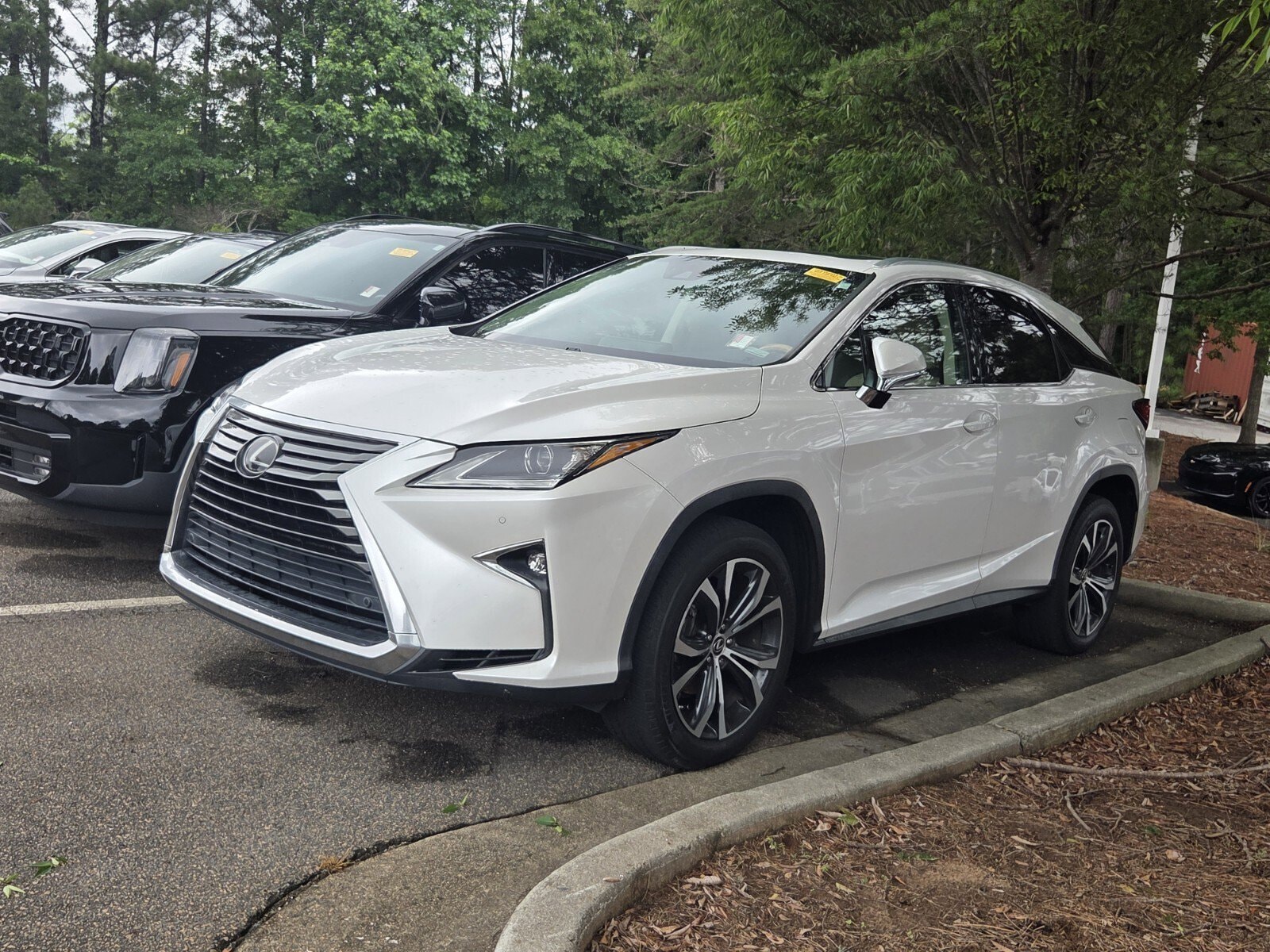 2019 Lexus RX 350 350 AWD's photo