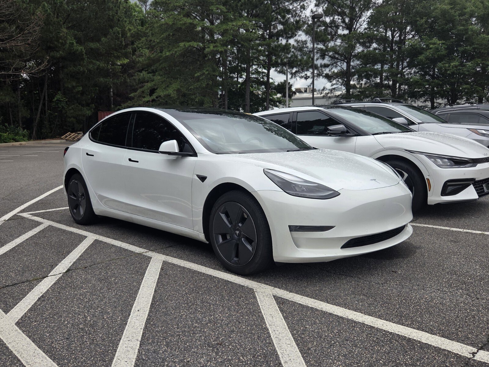2022 Tesla Model 3 Long Range Dual Motor All-Wheel Drive's photo