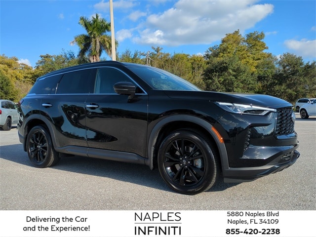 2025 INFINITI QX60 LUXE's photo