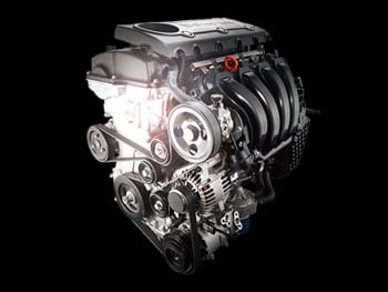 ed Napleton Automotive Service