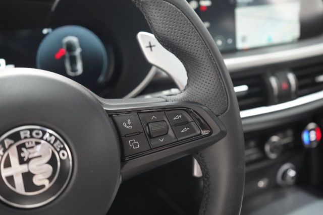 2025 Alfa Romeo Stelvio Base - Photo 20