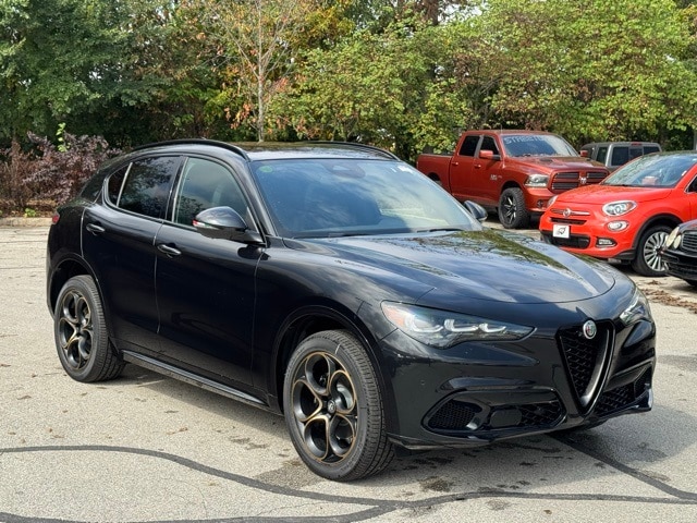 2025 Alfa Romeo Stelvio Intensa's photo