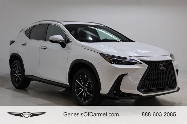 2024 Lexus NX