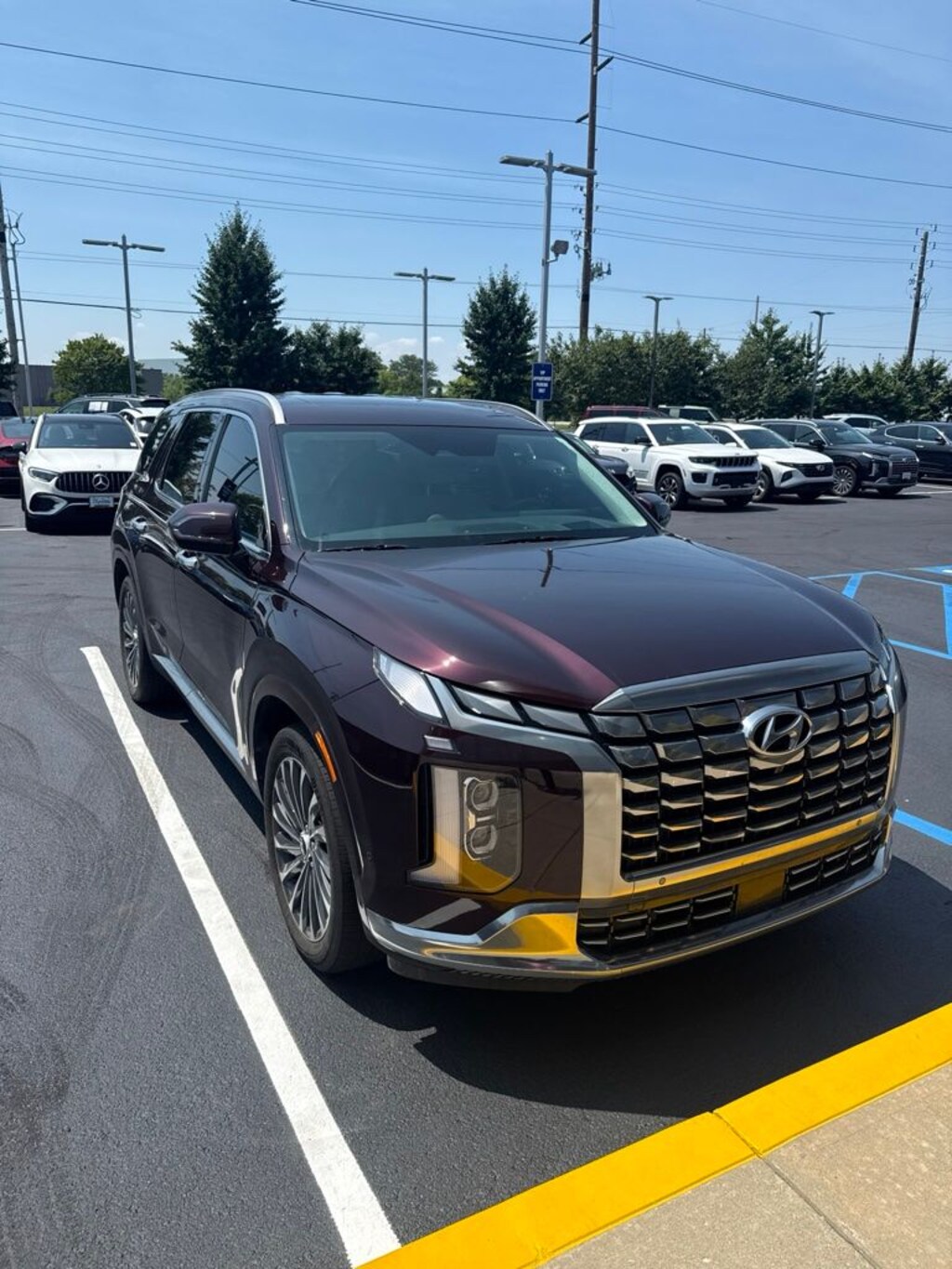 Used 2024 Hyundai Palisade Calligraphy SUV