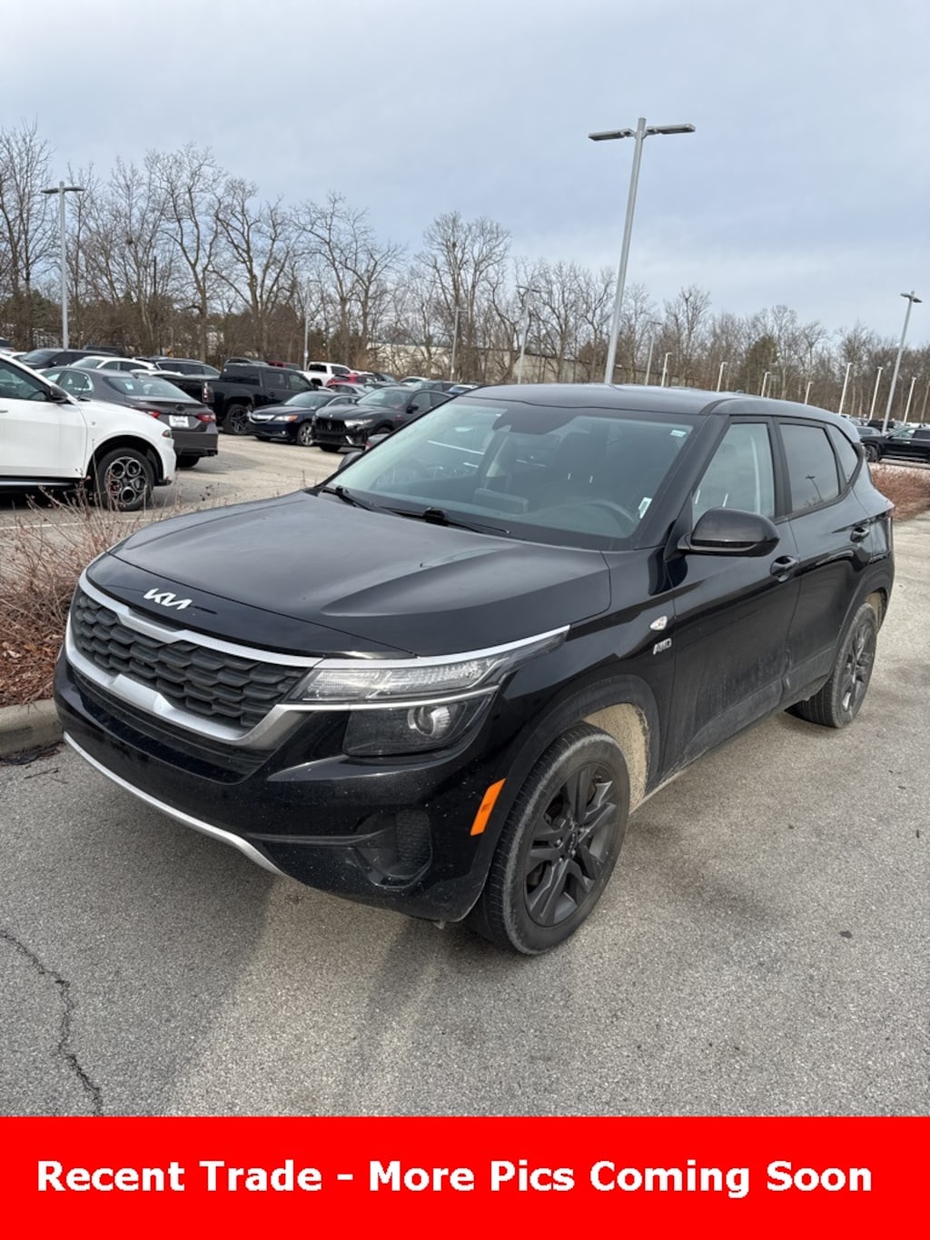 Used 2023 Kia Seltos LX SUV
