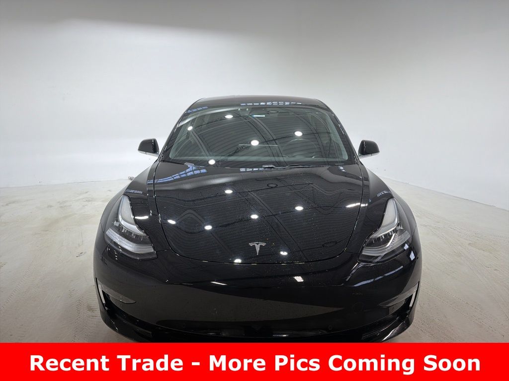 Used 2019 Tesla Model 3 Base with VIN 5YJ3E1EA1KF305176 for sale in Indianapolis, IN