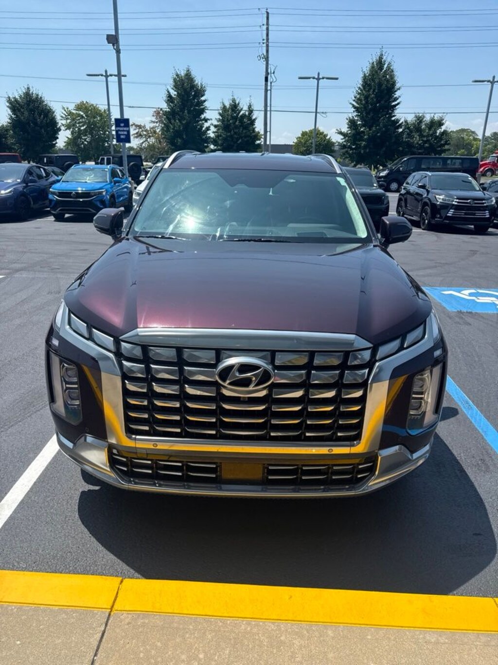 Used 2024 Hyundai Palisade Calligraphy SUV