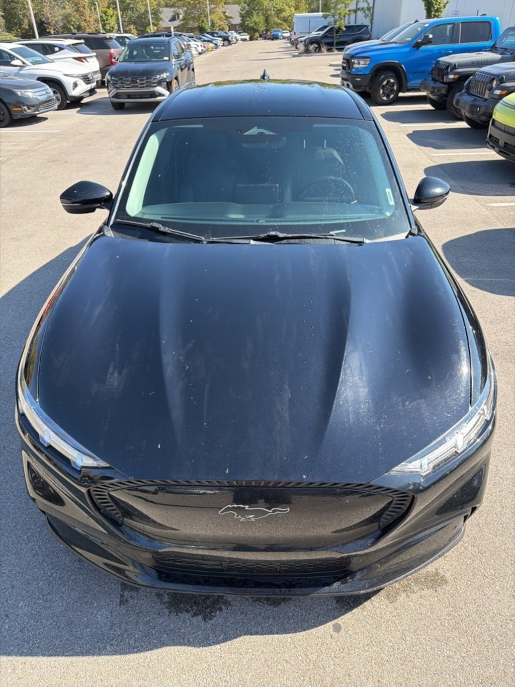 Used 2021 Ford Mustang Mach-E Select SUV