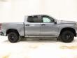 2020 Chevrolet Silverado 1500 LT Trail Boss Truck Crew Cab