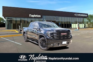 2022 GMC Sierra 1500 Elevation w/3SB Truck Crew Cab