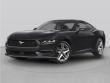 Used 2024 Ford Mustang Dark Horse Coupe