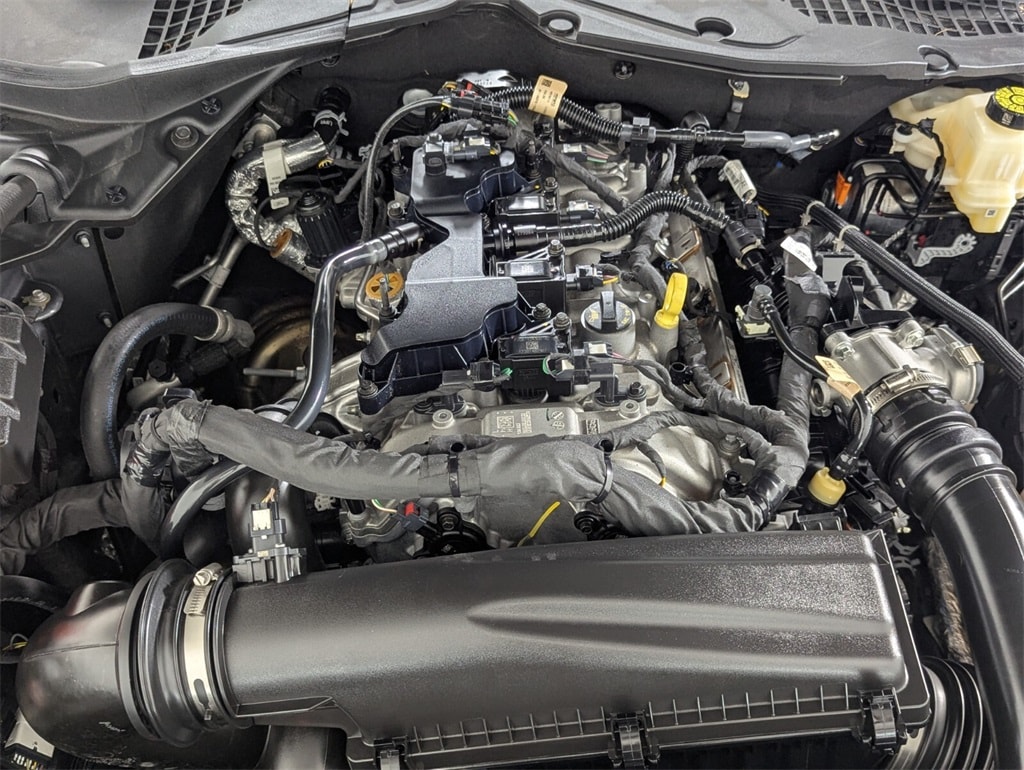 2024 Ford Mustang EcoBoost photo 10