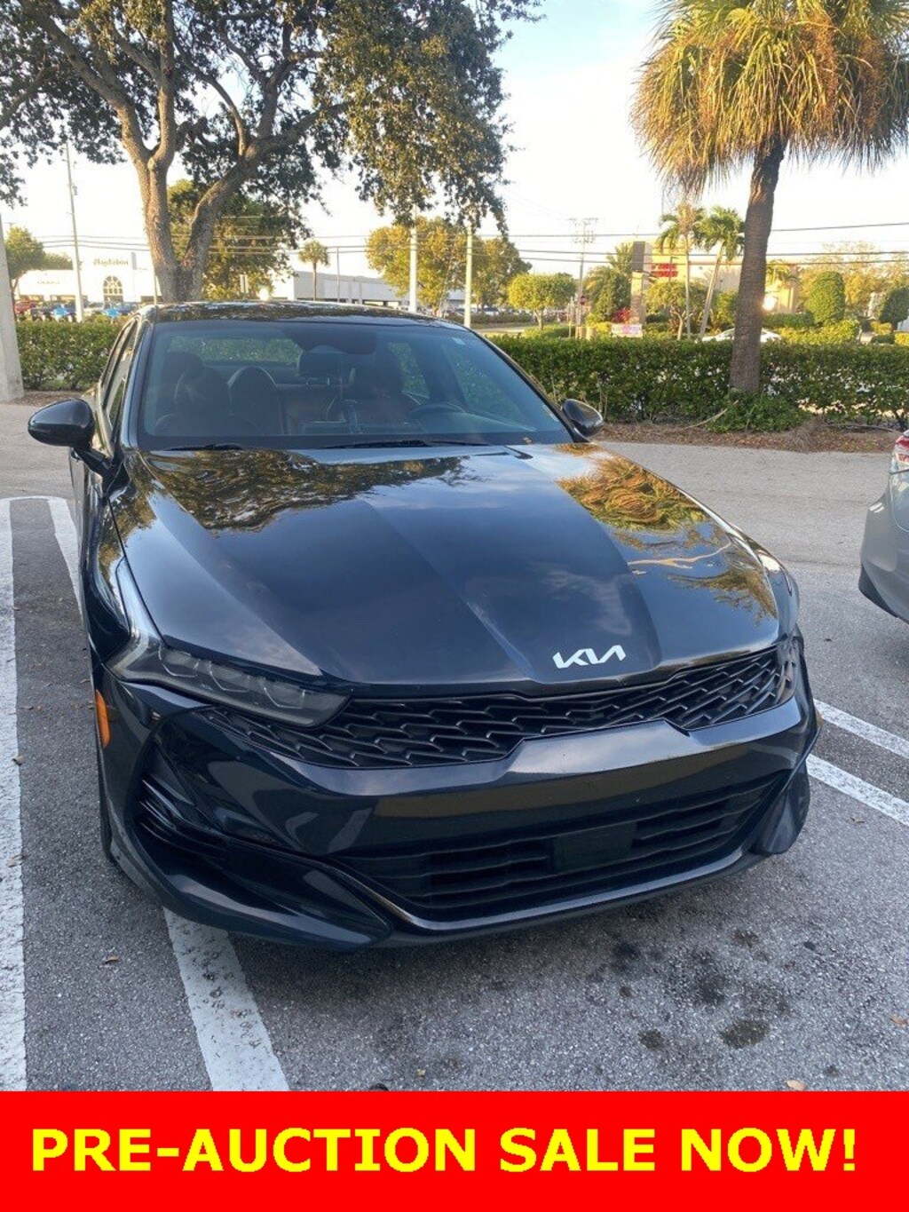 Used 2022 Kia K5 GT-Line Sedan