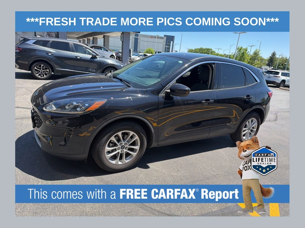 2020 Ford Escape SE FWD's photo