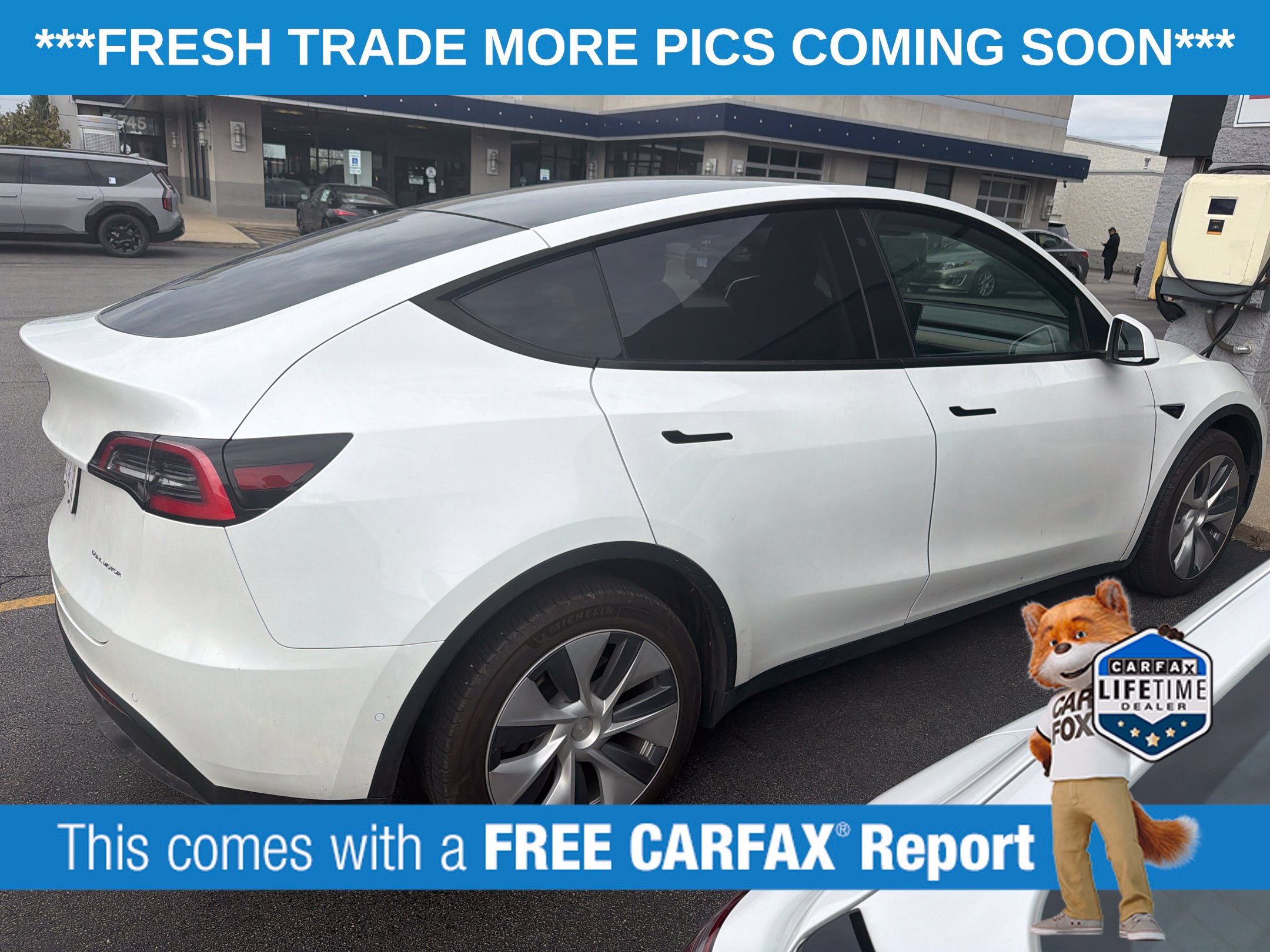 Used 2020 Tesla Model Y Long Range SUV