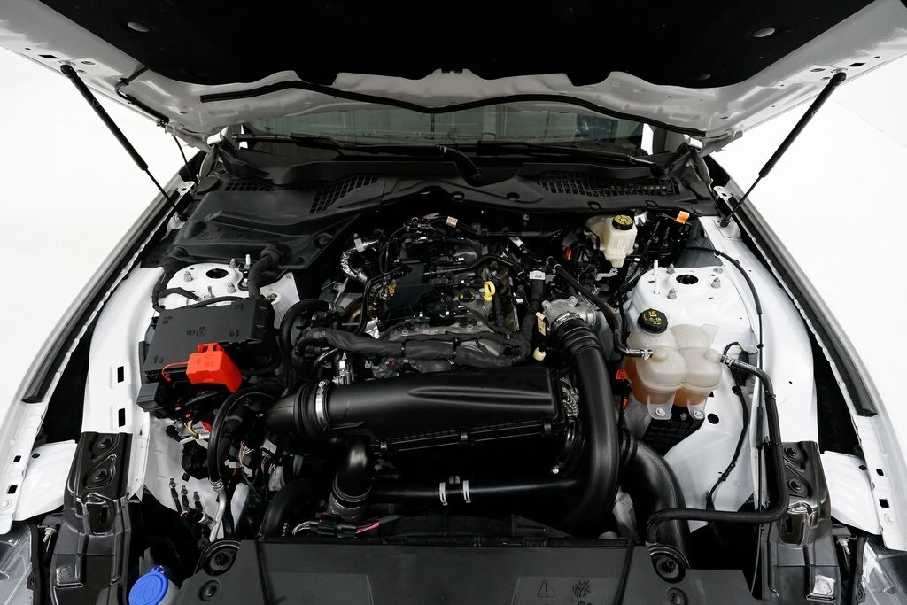 2024 Ford Mustang EcoBoost photo 3