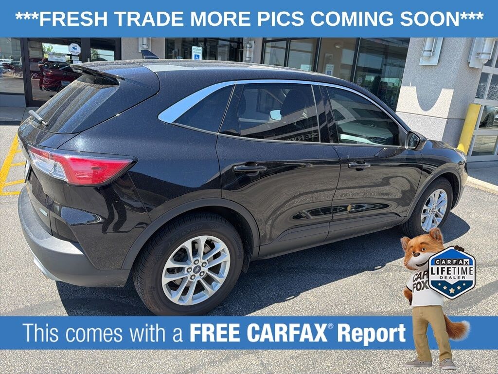Used 2020 Ford Escape SE SUV