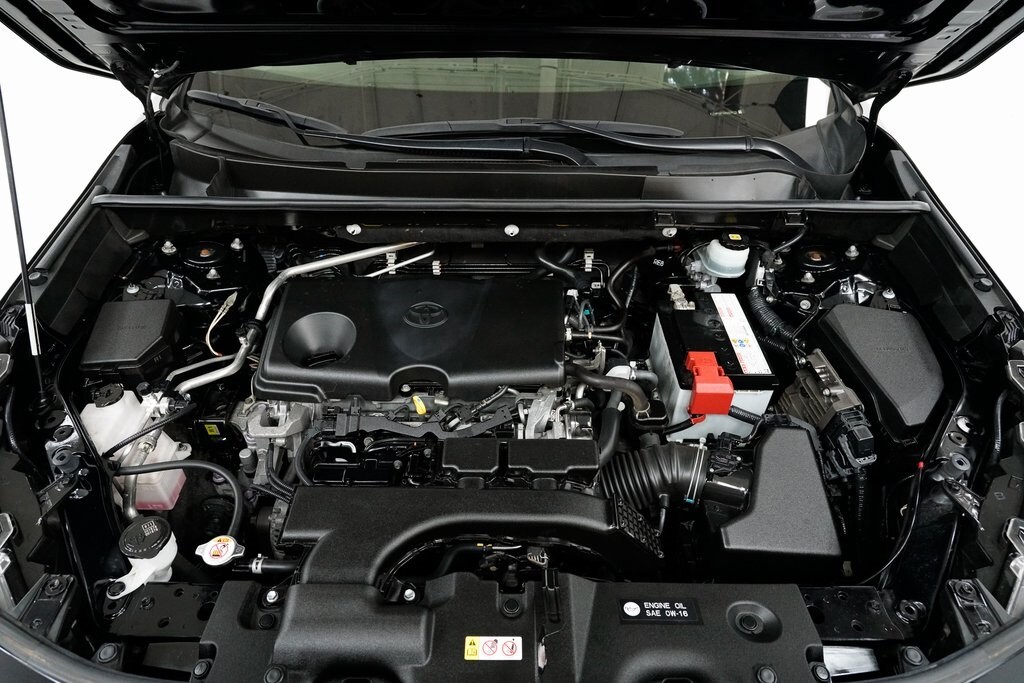 2019 Toyota RAV4 XLE photo 3