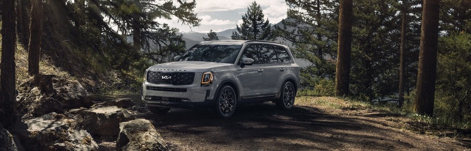 Kia Telluride Dealer