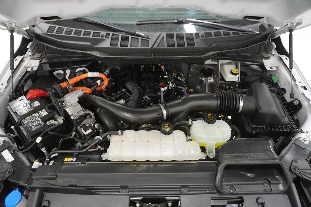 2025 Ford F-150 XLT - Photo 6
