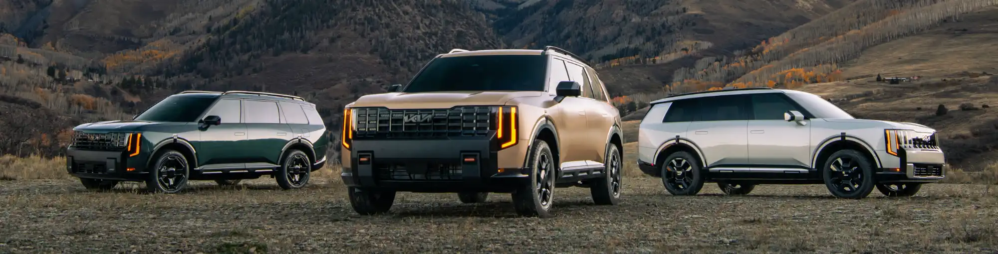Kia Telluride Dealer Kia Telluride Dealer