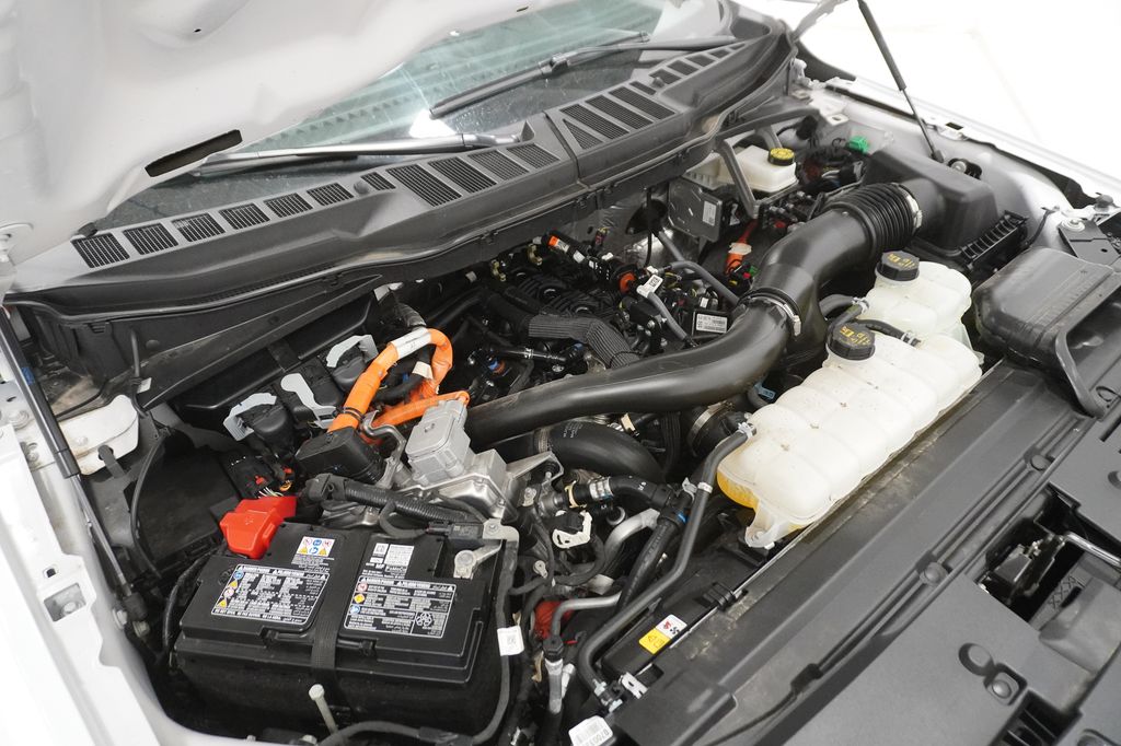 2025 Ford F-150 XLT - Photo 7